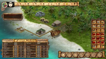 Pirate's Life (2015)
